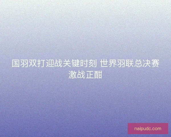 国羽双打迎战关键时刻 世界羽联总决赛激战正酣